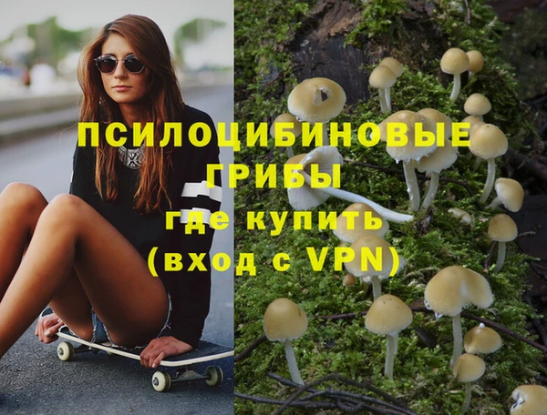 а пвп мука Арсеньев