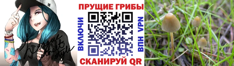 Галлюциногенные грибы ЛСД  где можно купить наркотик  Заинск 